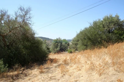 Terreno para Venda em São Brás de Alportel
