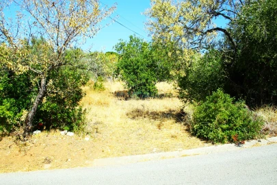 Terreno para Venda em São Brás de Alportel