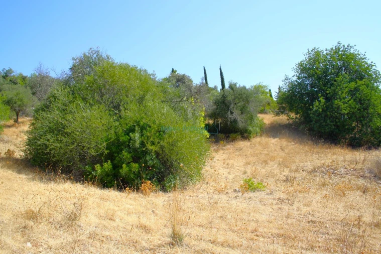 Terreno para Venda em São Brás de Alportel Foto 9