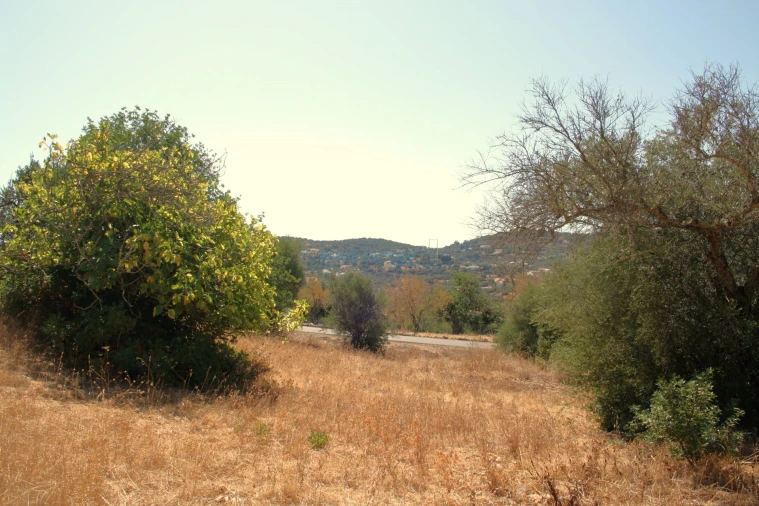 Terreno para Venda em São Brás de Alportel Foto 11