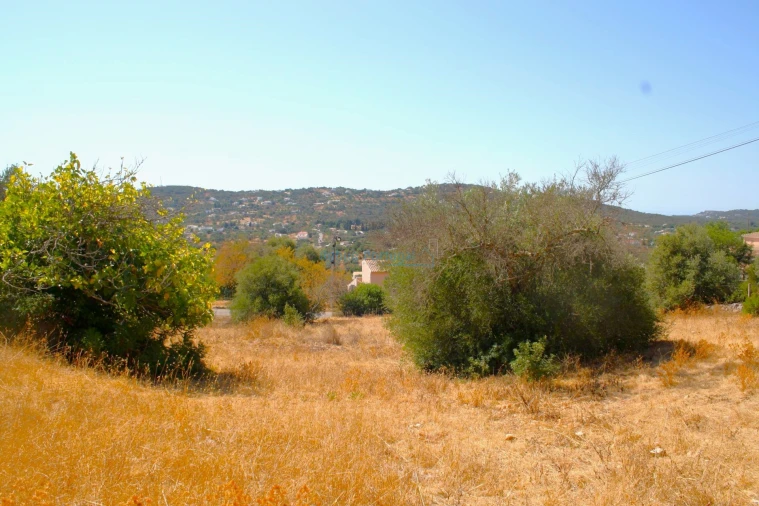 Terreno para Venda em São Brás de Alportel Foto 7