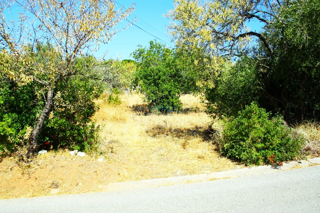 Terreno para Venda em São Brás de Alportel Foto 14