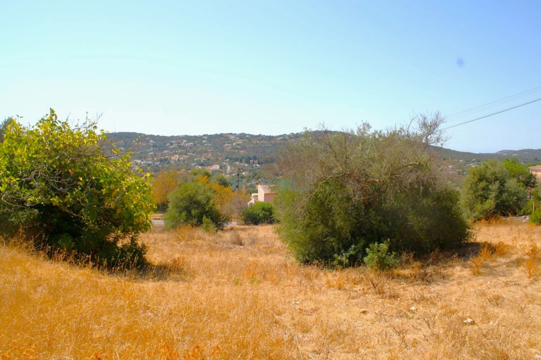 Terreno para Venda em São Brás de Alportel Foto 7