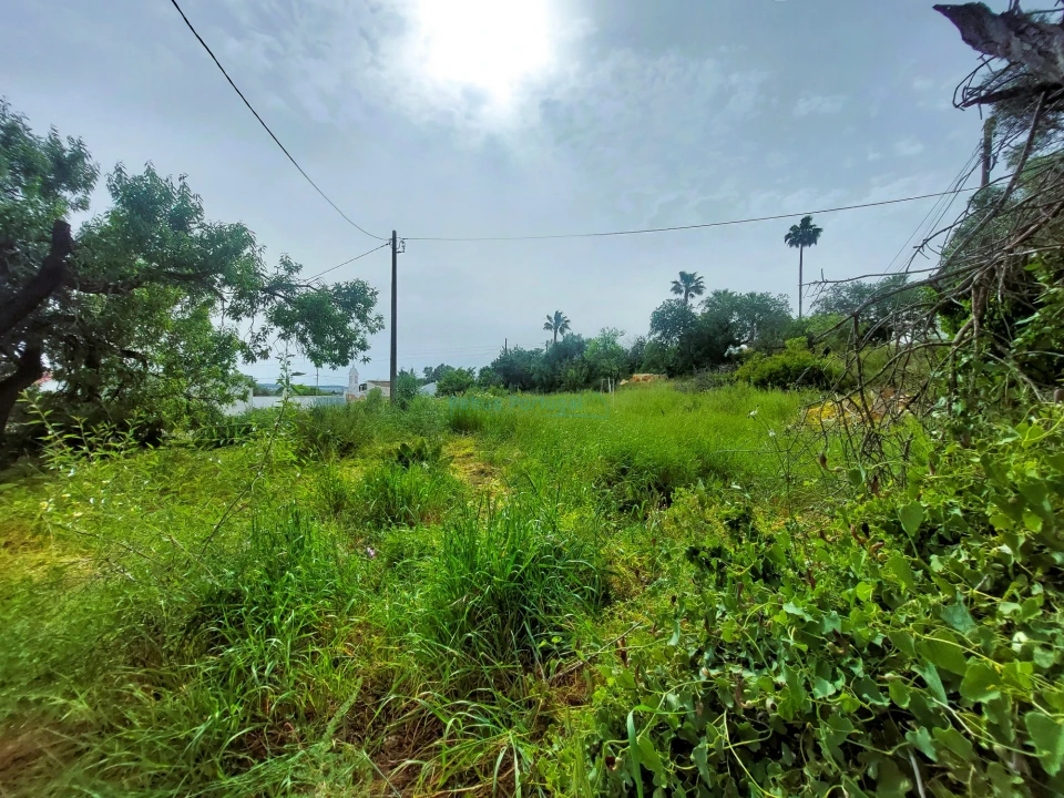 Terreno para Venda em Santa Barbara de Nexe Foto 16