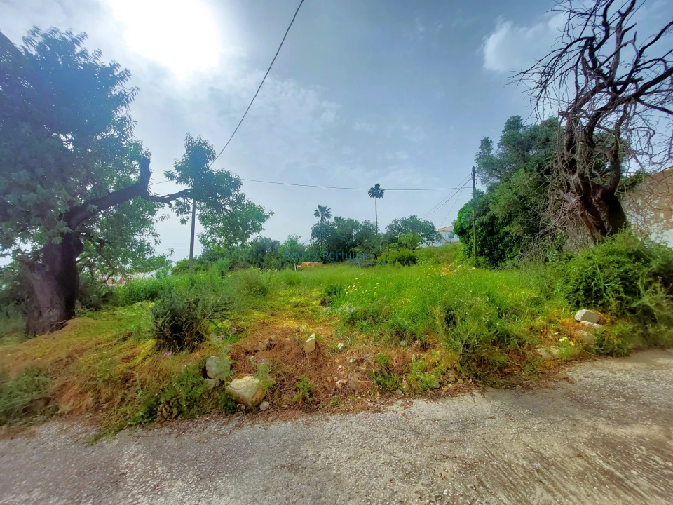 Terreno para Venda em Santa Barbara de Nexe Foto 15