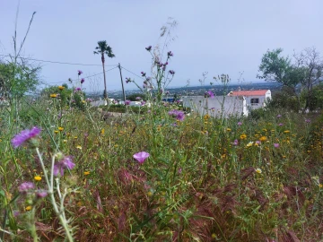 Terreno para Venda em Santa Barbara de Nexe