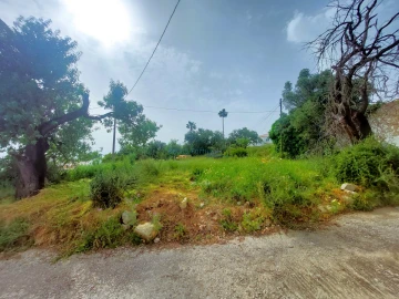 Terreno para Venda em Santa Barbara de Nexe