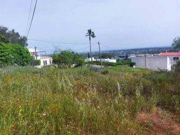 Terreno para Venda em Santa Barbara de Nexe