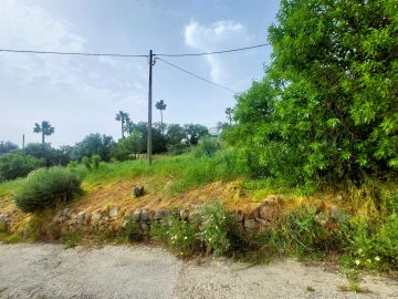 Terreno para Venda em Santa Barbara de Nexe
