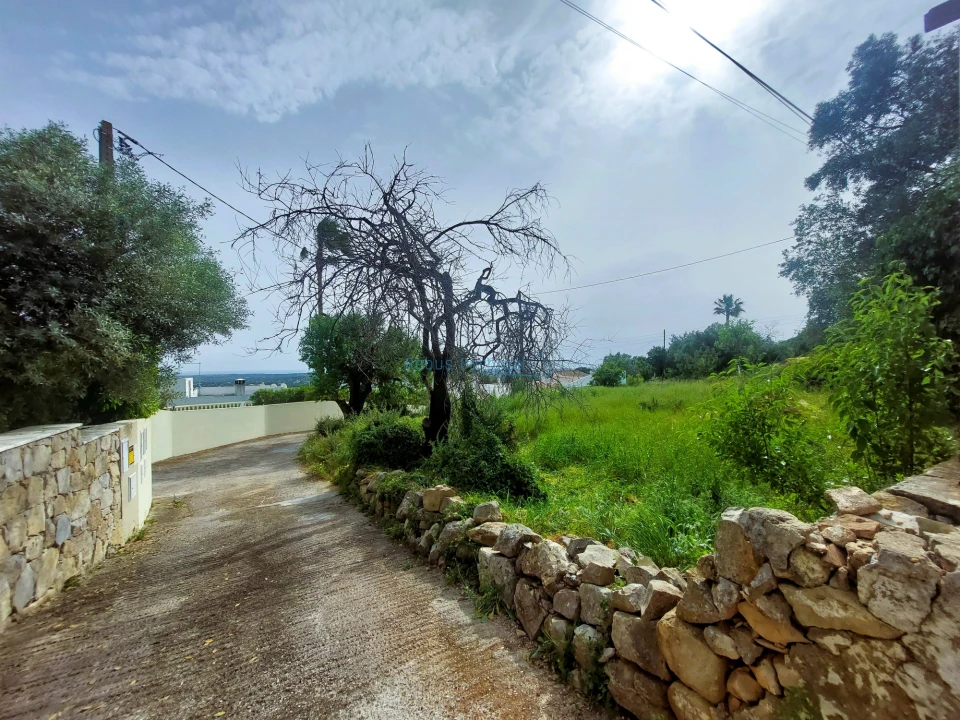 Terreno para Venda em Santa Barbara de Nexe Foto 18