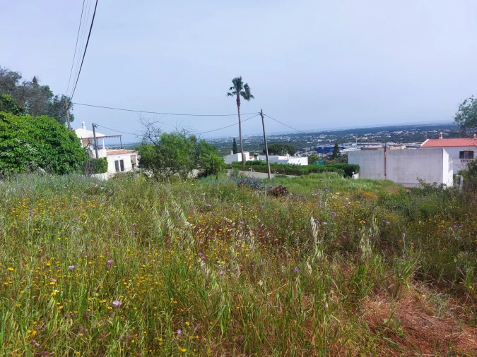 Terreno para Venda em Santa Barbara de Nexe Foto 9