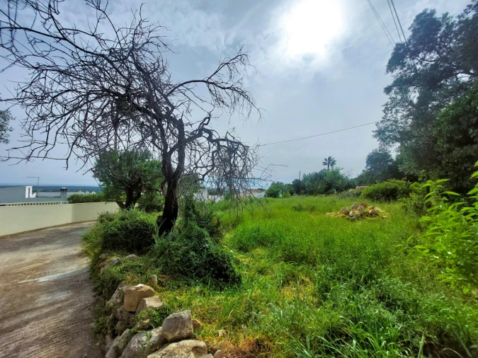 Terreno para Venda em Santa Barbara de Nexe Foto 17