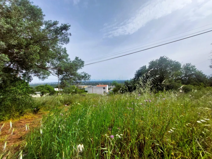 Terreno para Venda em Santa Barbara de Nexe Foto 10