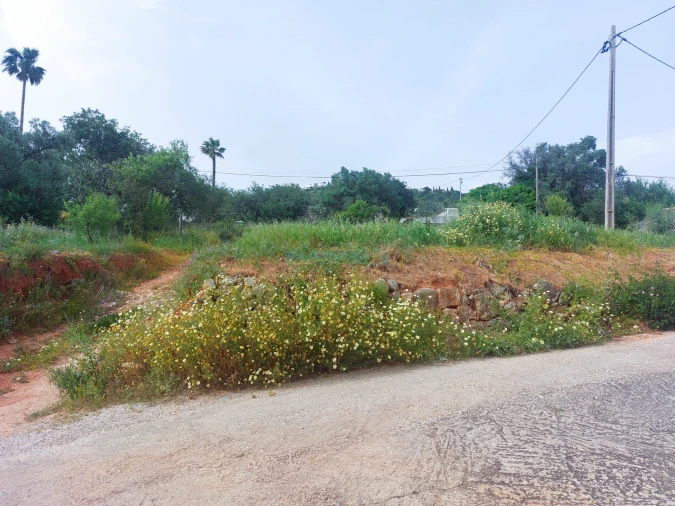 Terreno para Venda em Santa Barbara de Nexe Foto 13