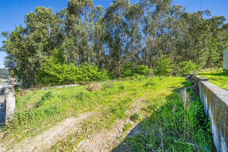 Terreno para Venda em Mogege Foto 40