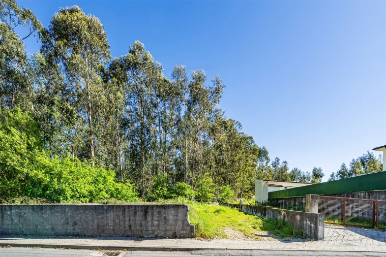 Terreno para Venda em Mogege Foto 36