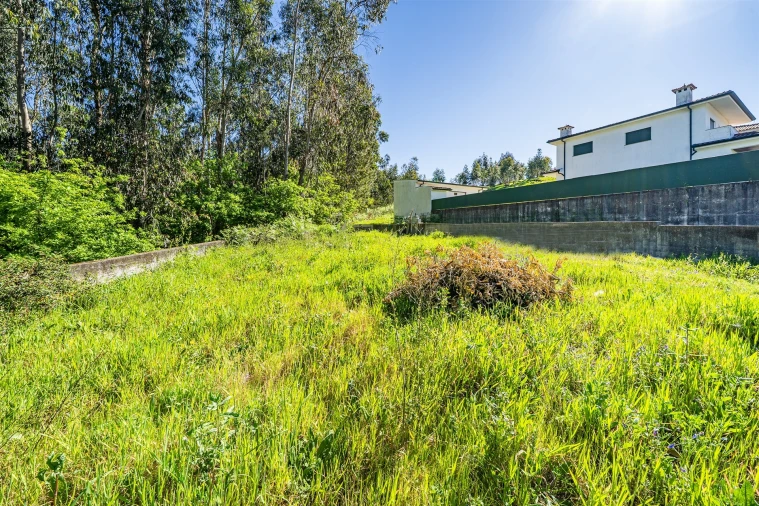 Terreno para Venda em Mogege Foto 46