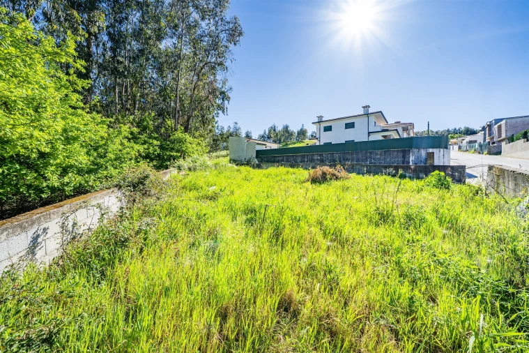 Terreno para Venda em Mogege Foto 49