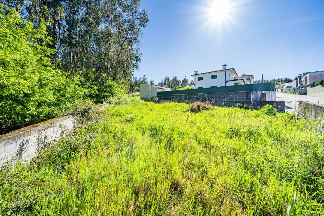 Terreno para Venda em Mogege Foto 49