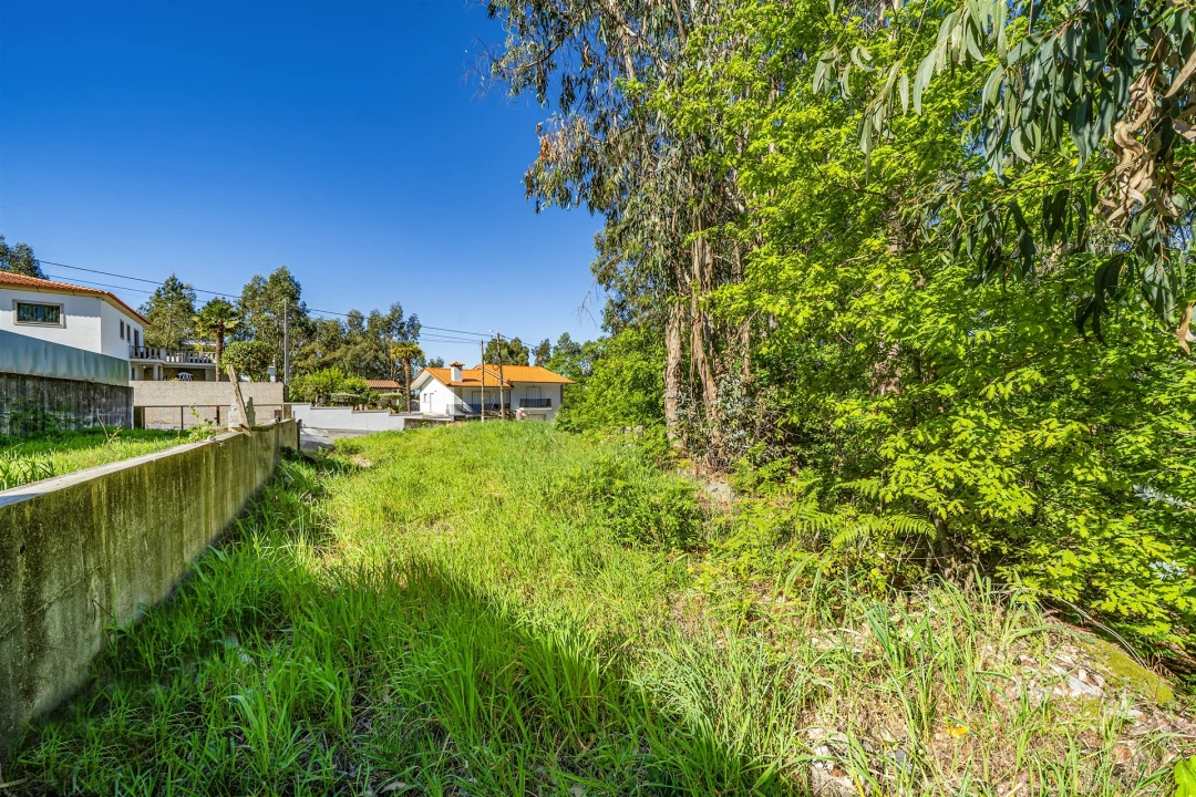 Terreno para Venda em Mogege Foto 42