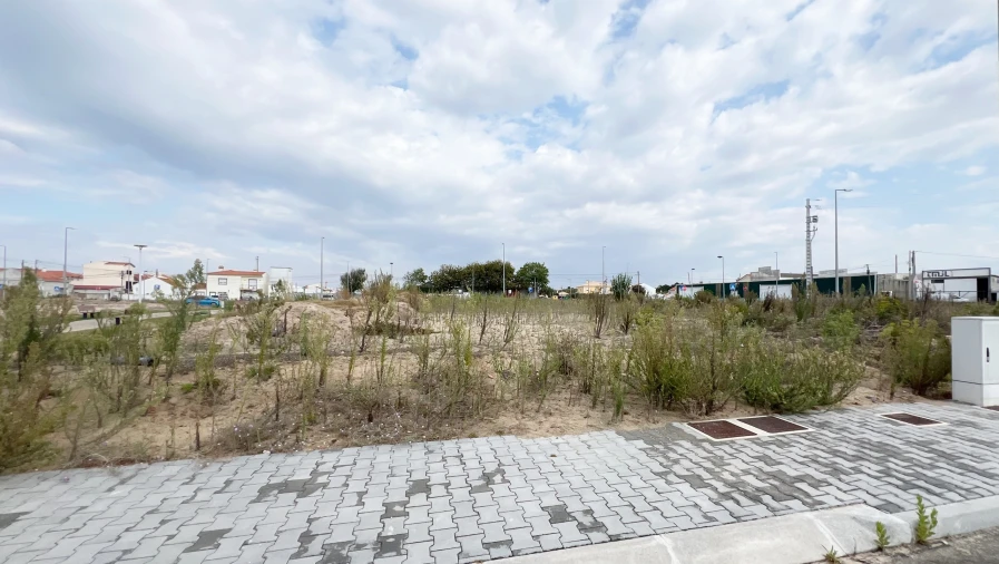 Terreno para Venda em Ferrel Foto 6