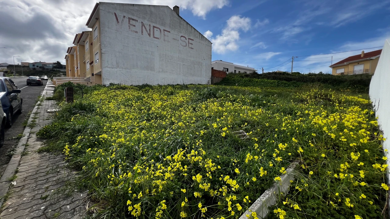 Terreno para Venda em Lourinhã e Atalaia Foto 6