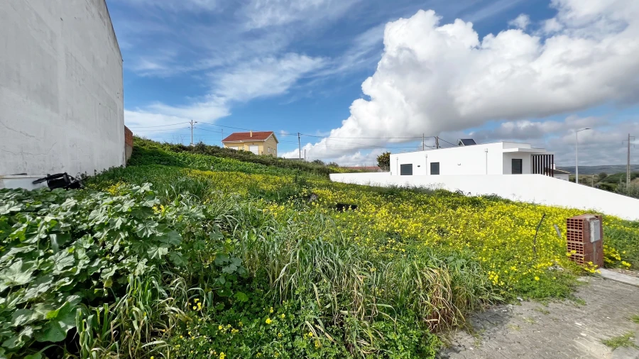 Terreno para Venda em Lourinhã e Atalaia Foto 5