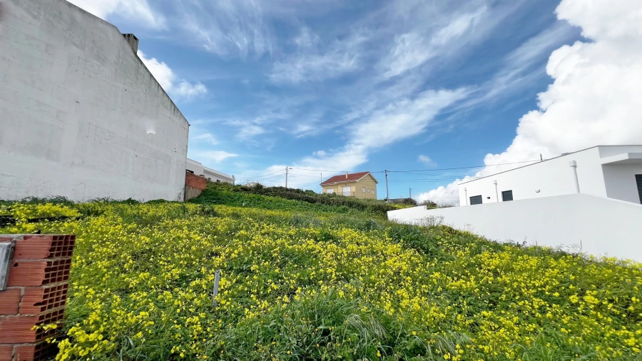 Terreno para Venda em Lourinhã e Atalaia Foto 3
