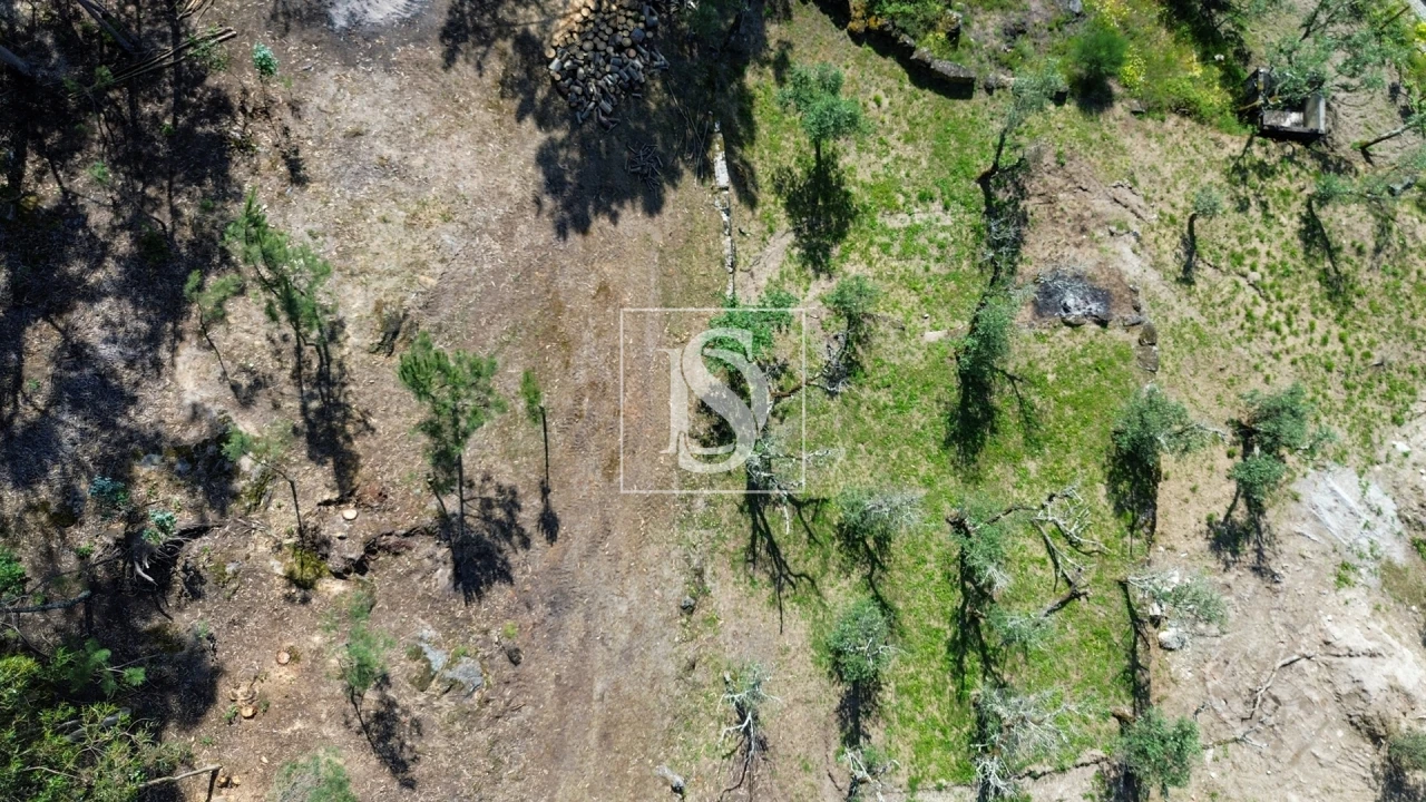 Terreno para Venda em Gouveia (São Simão) Foto 19