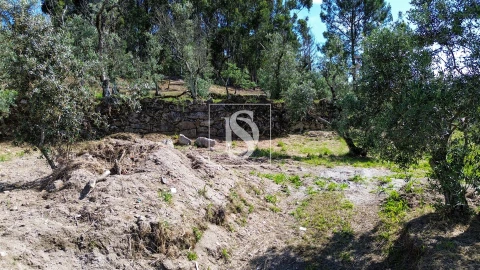 Terreno para Venda em Gouveia (São Simão)