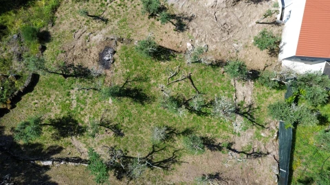 Terreno para Venda em Gouveia (São Simão)