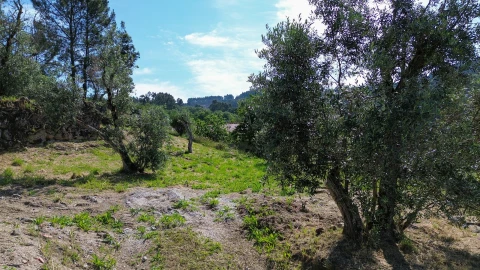 Terreno para Venda em Gouveia (São Simão)