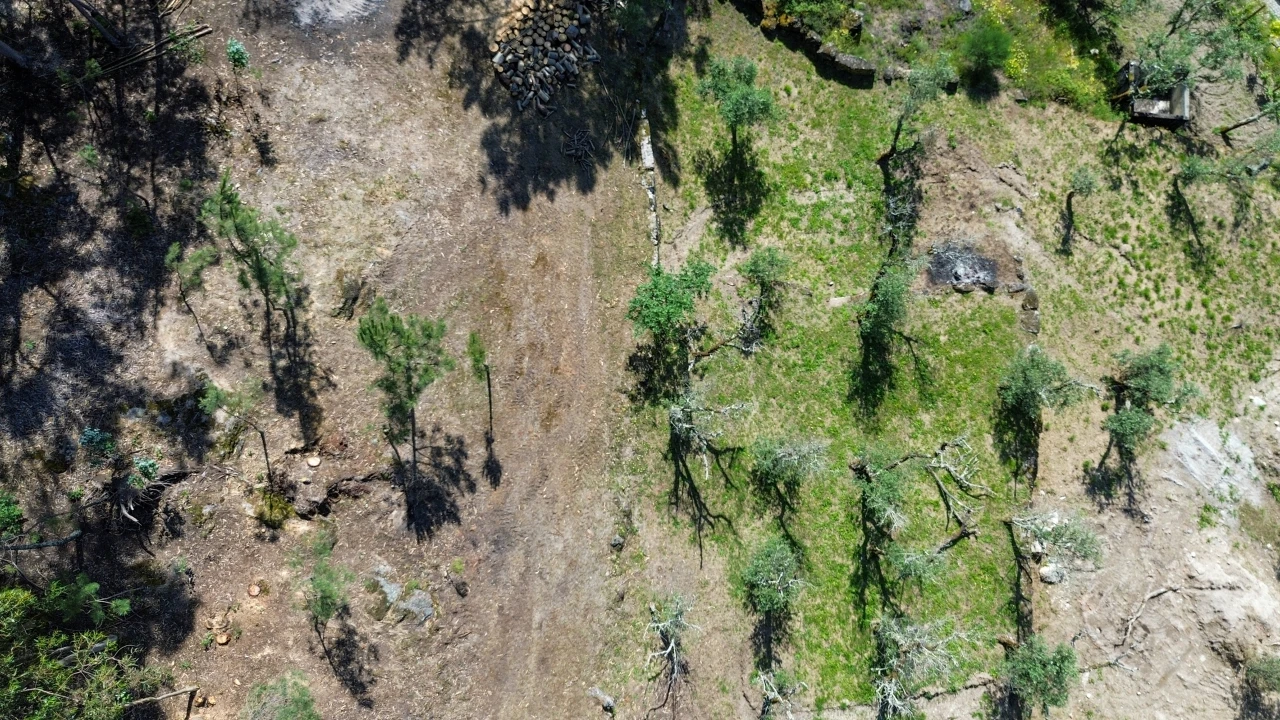 Terreno para Venda em Gouveia (São Simão) Foto 9