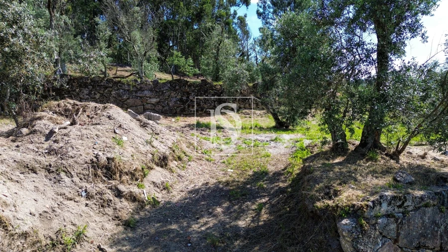 Terreno para Venda em Gouveia (São Simão) Foto 10