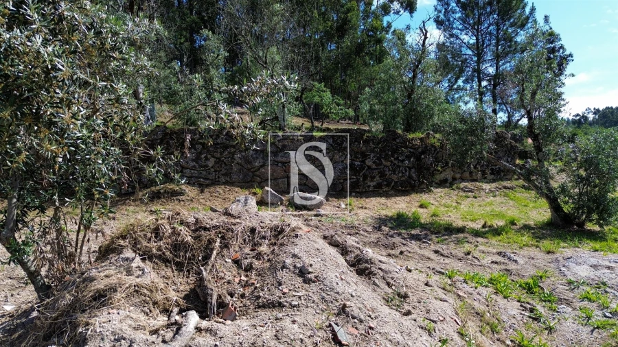 Terreno para Venda em Gouveia (São Simão) Foto 8