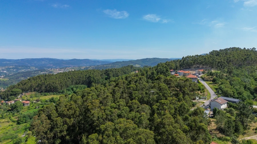 Terreno para Venda em Gouveia (São Simão) Foto 8