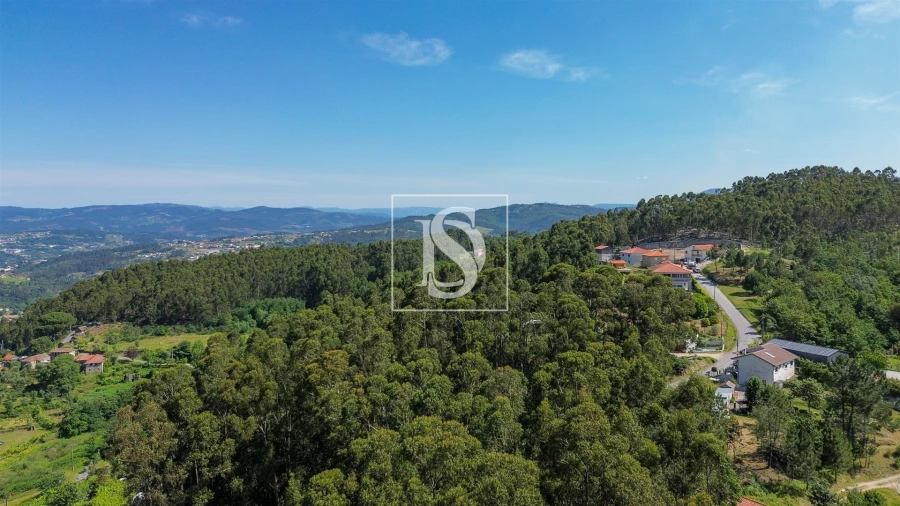Terreno para Venda em Gouveia (São Simão) Foto 5