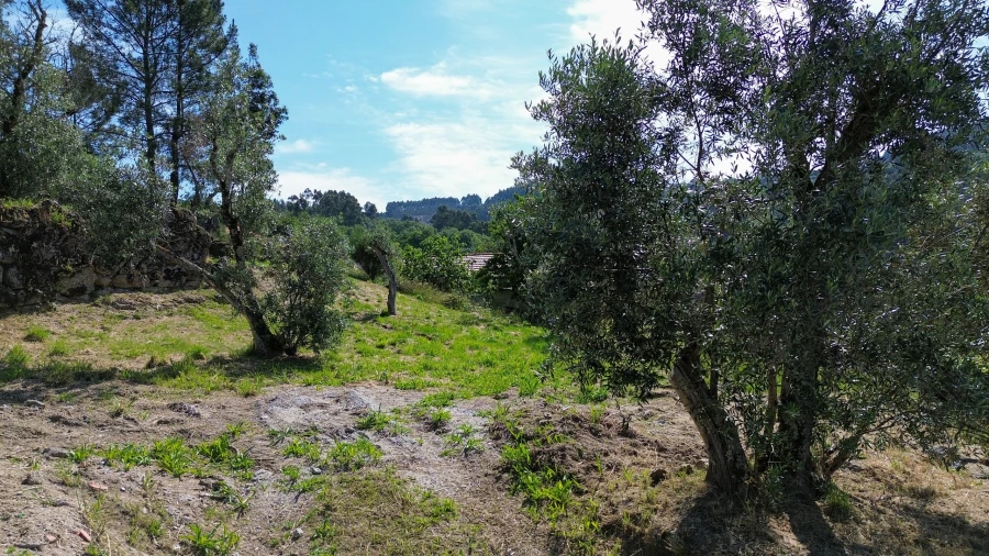 Terreno para Venda em Gouveia (São Simão) Foto 7