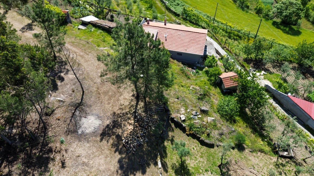 Terreno para Venda em Gouveia (São Simão) Foto 17