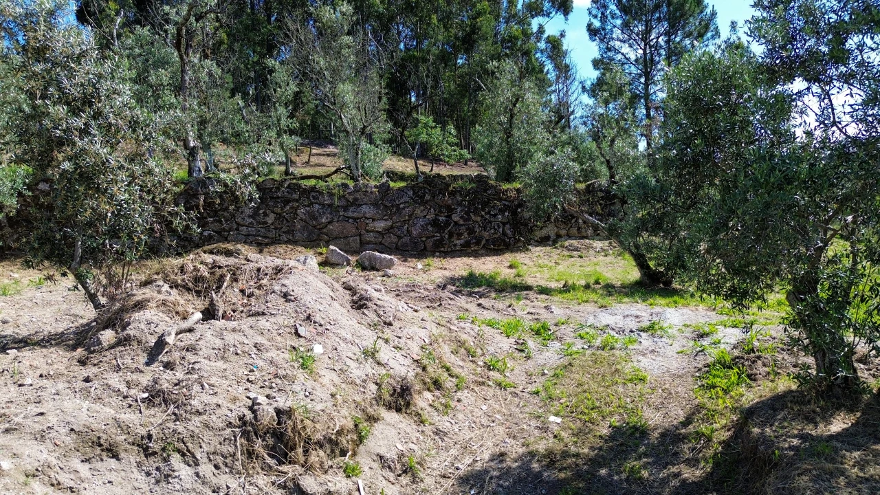 Terreno para Venda em Gouveia (São Simão) Foto 19