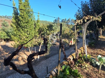 Terreno para Venda em Pala