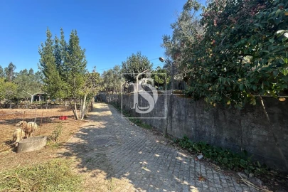 Terreno para Venda em Pala