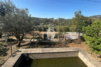 Terreno para Venda em Pala