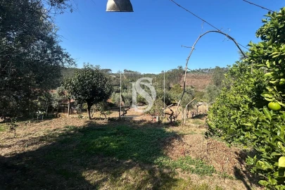 Terreno para Venda em Pala