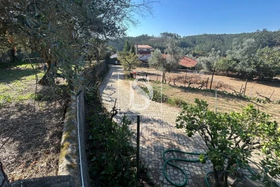 Terreno para Venda em Pala