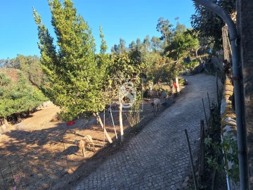 Terreno para Venda em Pala