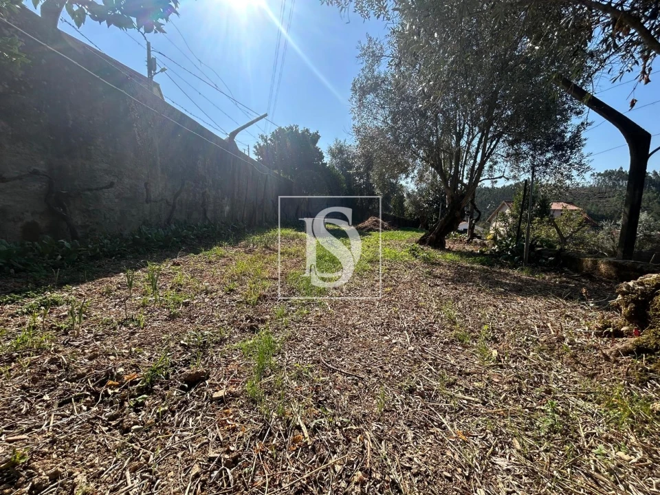 Terreno para Venda em Pala Foto 14