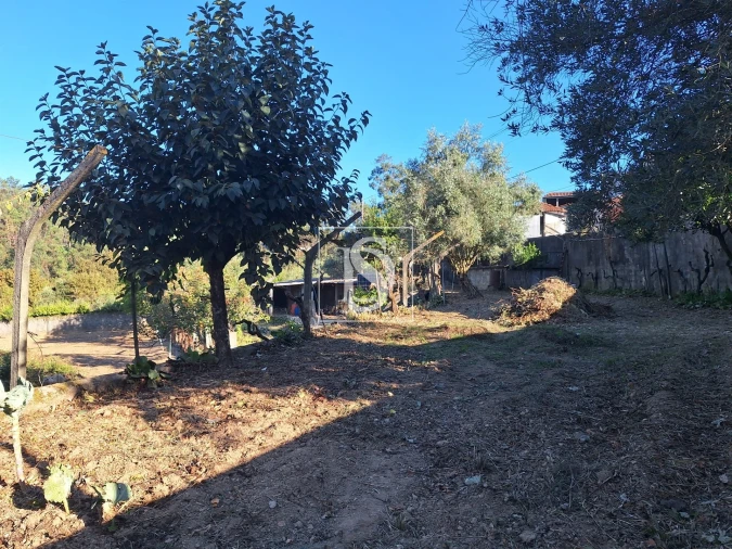 Terreno para Venda em Pala Foto 18