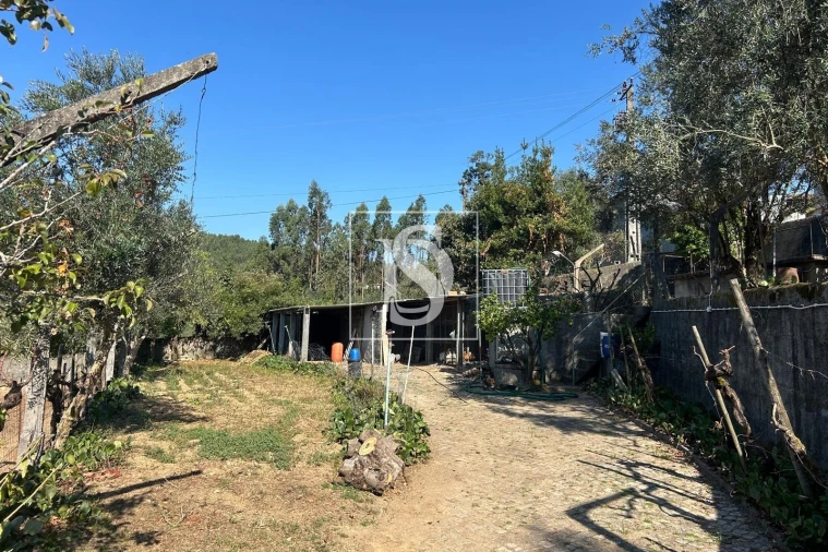 Terreno para Venda em Pala Foto 12