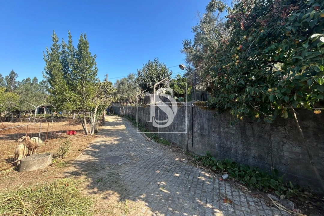 Terreno para Venda em Pala Foto 7